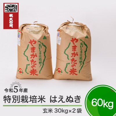 令和5年産 新米 はえぬき 60kg 山形県大石田町産 特別栽培米 玄米