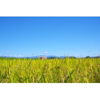 令和5年産 はえぬき 60kg 山形県大石田町産 特別栽培米 玄米