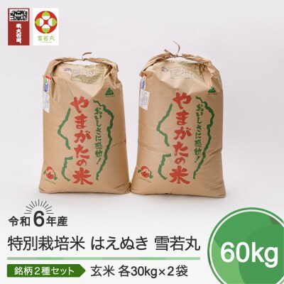 ☆極上☆【R6年産新米】佐渡産コシヒカリ ー特別栽培米ー25kg×2袋