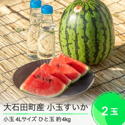 小玉すいか 2025年産 4L×2玉 ひとりじめ または ピノガール ja-sukoa4
