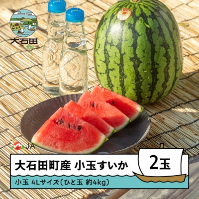 【先行予約】小玉すいか 2026年産 4L×2玉 ひとりじめ または ピノガール ja-sukoa4