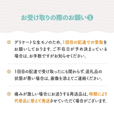 【先行予約】小玉すいか 2026年産 4L×2玉 ひとりじめ または ピノガール ja-sukoa4