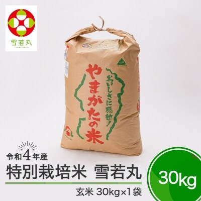先行受付 令和4年産 雪若丸 30kg 山形県大石田町産 特別栽培米 玄米