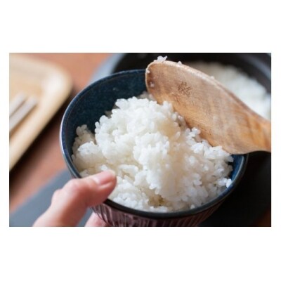 先行受付 令和4年産 雪若丸 30kg 山形県大石田町産 特別栽培米 玄米