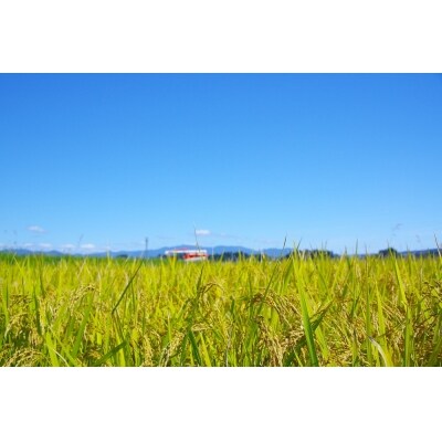 【2025年5月下旬発送】令和6年産 雪若丸 30kg 山形県大石田町産 玄米 ja-yugxb30
