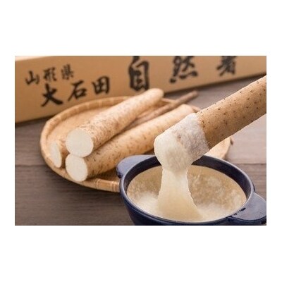 雪国育ちの自然薯 約1kg(1~3本入り)