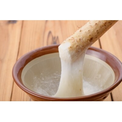 雪国育ちの自然薯 約1kg(1~3本入り)