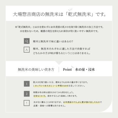 【3月下旬発送】米 10kg 5kg×2 あきたこまち 令和6年産 山形県産 無洗米