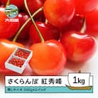 さくらんぼ 佐藤錦 秀Lサイズ 1kg(500g×2パック) バラ詰め 2026年産 山形県産