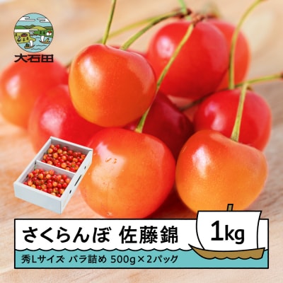 さくらんぼ 佐藤錦 秀Lサイズ バラ詰め 1kg(500g×2パック) 令和9年産 山形県産