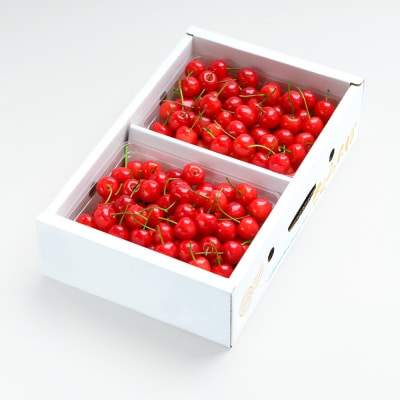 さくらんぼ 佐藤錦 秀Lサイズ 1kg(500g×2パック) バラ詰め 2026年産 山形県産