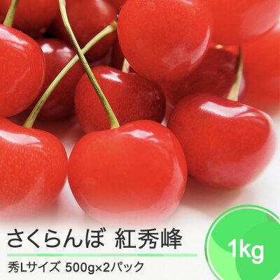 さくらんぼ 紅秀峰 秀Lサイズ 1kg (500g×2パック) バラ詰め 2023年産 山形県産 | ふるさと納税のお礼品