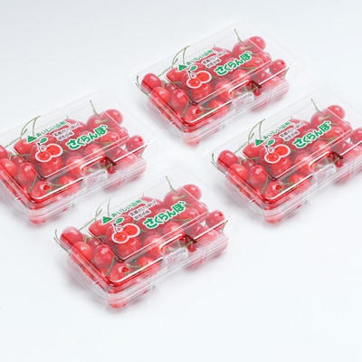 さくらんぼ 紅秀峰 秀Lサイズ 約720g(180g×4パック)フードパック 2026年産 山形県産