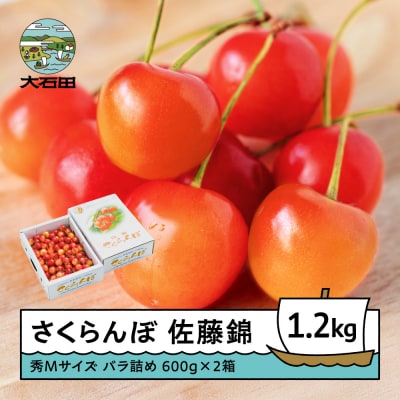 さくらんぼ 佐藤錦 秀Mサイズ バラ詰め 1.2kg(600g×2箱) 令和9年産 山形県産
