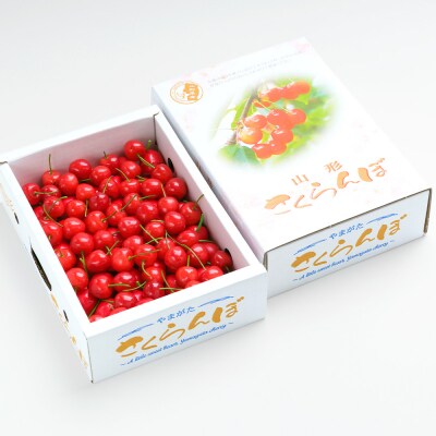 さくらんぼ 佐藤錦 秀Mサイズ 1.2kg(600g×2箱) バラ詰め 2025年産 山形県産
