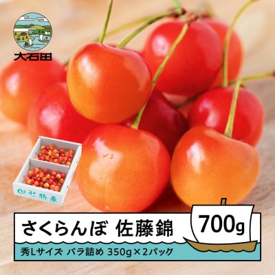 さくらんぼ 佐藤錦 秀Lサイズ バラ詰め 700g(350g×2パック) 令和9年産 山形県産