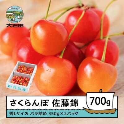 さくらんぼ 佐藤錦 秀Lサイズ バラ詰め 700g(350g×2パック) 令和9年産 山形県産