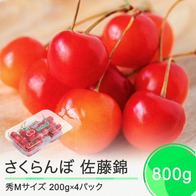 さくらんぼ 佐藤錦 秀Mサイズ 約800g(200g×4パック)フードパック 2025年産 山形県産