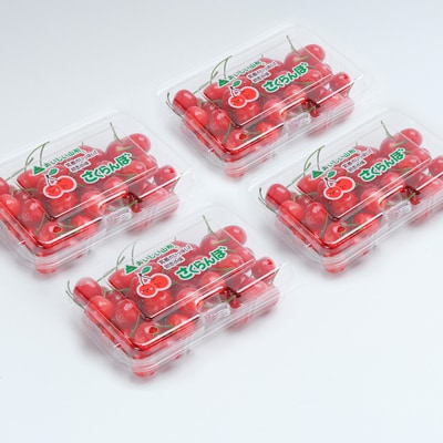 さくらんぼ 佐藤錦 秀Mサイズ 約720g(180g×4パック)フードパック 2025年産 山形県産