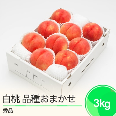 白桃 秀品 品種おまかせ 約3kg 化粧箱入り 2025年産 山形県産 ns-mohtx3