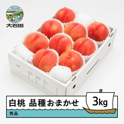 【先行予約】もも 白桃 秀品 品種おまかせ 約3kg 化粧箱入り 2026年産 ns-mohtx3