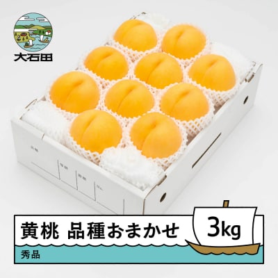 【先行予約】もも 有袋黄桃 秀品 品種おまかせ 約3kg 化粧箱入 2026年産 ns-mootx3