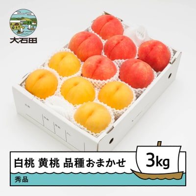 【先行予約】白桃&有袋黄桃 秀品 品種おまかせ 約3kg 化粧箱入 2026年産 ns-mohot3