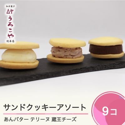 サンドクッキーアソート 3種 (あんバター,テリーヌ,蔵王チーズ)×3箱 計9個 us-swscs9