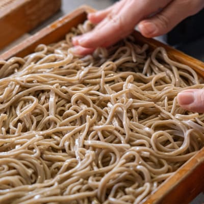 手打ちそば 蕎麦 6人前 つゆ付き 生そば おそば美登利 