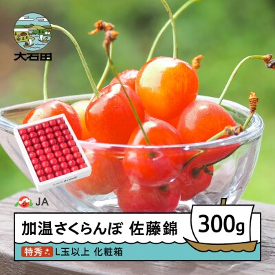 【先行予約】 加温 さくらんぼ 佐藤錦 特秀品 L玉 化粧箱入 300g 令和9年産 山形県産