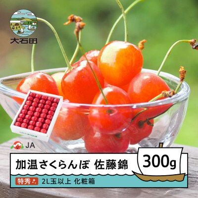 【先行予約】 加温 さくらんぼ 佐藤錦 特秀品 2L玉 化粧箱入 300g 令和9年産 山形県産