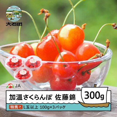 【先行予約】 加温 さくらんぼ 佐藤錦 特秀品 L玉 ダイヤパック 100g×3パック 山形県産