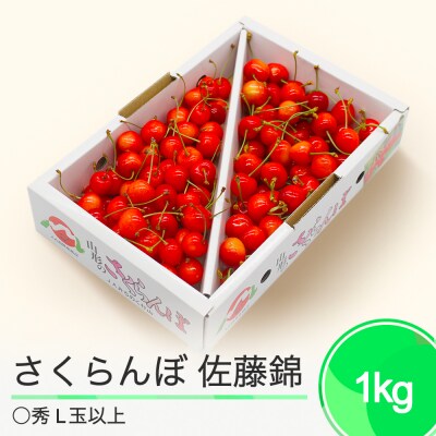 さくらんぼ 佐藤錦 1kgバラ ◯秀 L玉以上 2025年産 令和七年 果物 フルーツ 山形県産