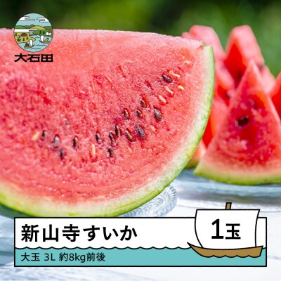 大玉すいか 新山寺 2~3Lサイズ×1玉 2026年産 令和8年産 山形県産 yd-suoxx2