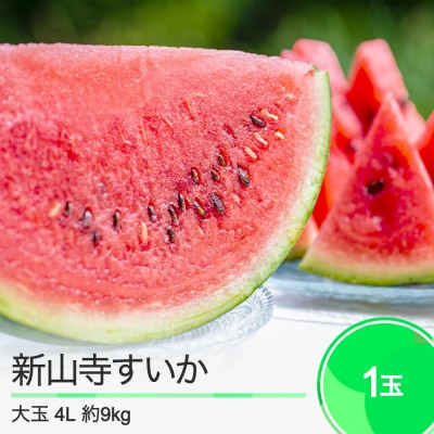 新山寺すいか 大玉すいか 4Lサイズ×1玉 2025年産 令和7年産 山形県産 yd-suoxx4
