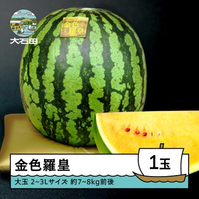 大玉 すいか 金色羅皇 2~3Lサイズ×1玉 2026年産 令和8年産 山形県産