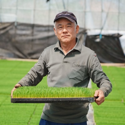 【10月上旬発送】新米 ひとめぼれ 玄米 30kg 令和8年産 山形県産