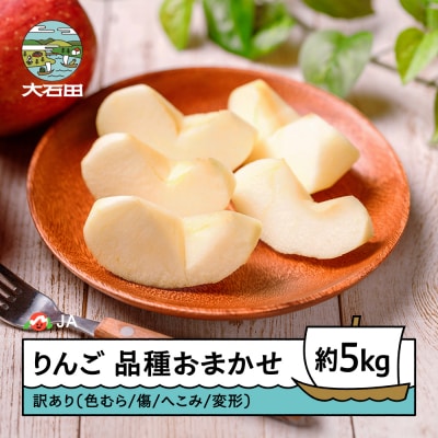 【先行予約】 訳ありりんご 品種おまかせ 約5kg 2026年産 ja-riwax5