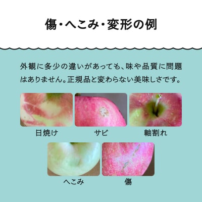 【先行予約】 訳ありりんご 品種おまかせ 約5kg 2026年産 ja-riwax5