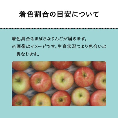 【先行予約】 訳ありりんご 品種おまかせ 約5kg 2026年産 ja-riwax5