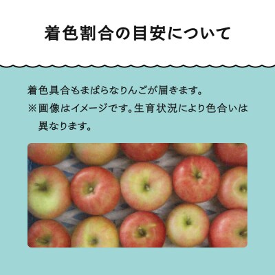【先行予約】 訳あり りんご 品種おまかせ 約10kg 2026年産  ja-riwax10