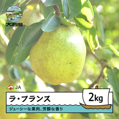 【先行予約】 ラ・フランス 洋梨 約2kg 2026年産 令和8年産 果物 ja-laxxx2