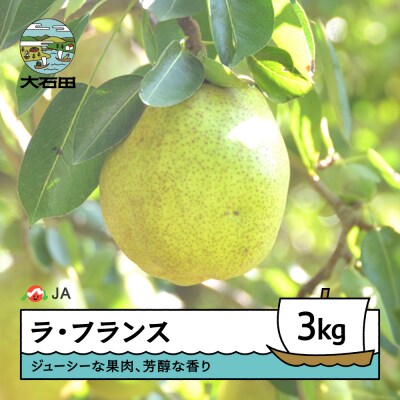 【先行予約】 ラ・フランス 洋梨 約3kg 2026年産 令和8年産 果物 ja-laxxx3