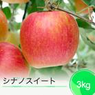 りんご シナノスイート 3kg 2025年産 令和7年産 リンゴ 林檎 フルーツ ja-rissx3