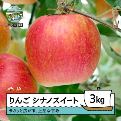 【先行予約】 りんご シナノスイート 約3kg 2026年産 令和8年産 リンゴ ja-rissx3