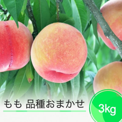 【先行予約】桃 もも 品種おまかせ 約3kg 2026年産 令和8年産 ja-moxxx3