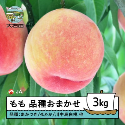 【先行予約】桃 もも 品種おまかせ 約3kg 2026年産 令和8年産 ja-moxxx3