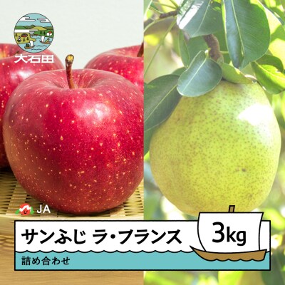 【先行予約】 サンふじ&ラ・フランス詰め合わせ 3kg 2026年産 令和8年産 ja-fsflx3