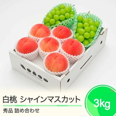 もも 白桃 秀品 & シャインマスカット 約3kg 詰め合わせ 2025年産 令和7年産