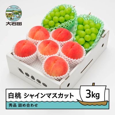 【先行予約】 もも 白桃 & シャインマスカット 約3kg 詰め合わせ 2026年産 令和8年産